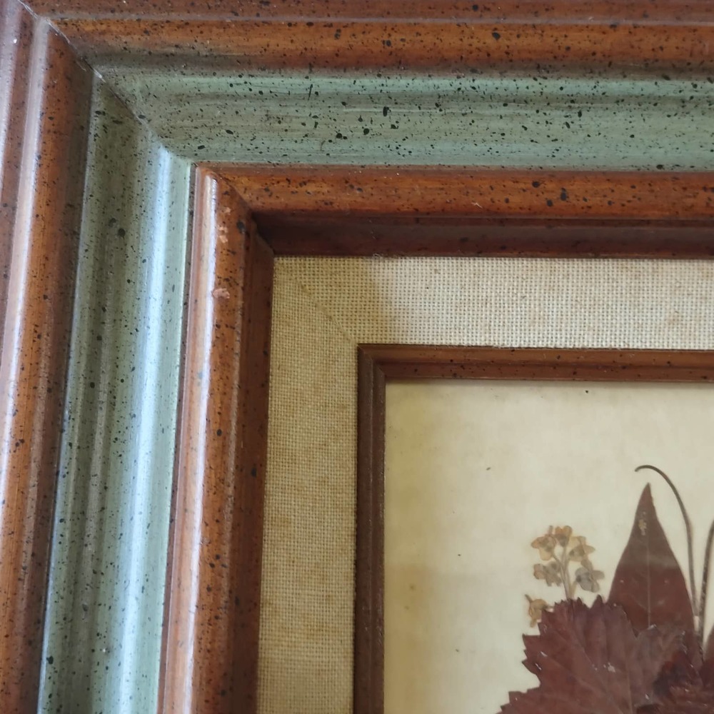 Dried Wild Flowers Dogwood Leaves Naturalistic Green Brown Framed Picture - Picture 5 of 9